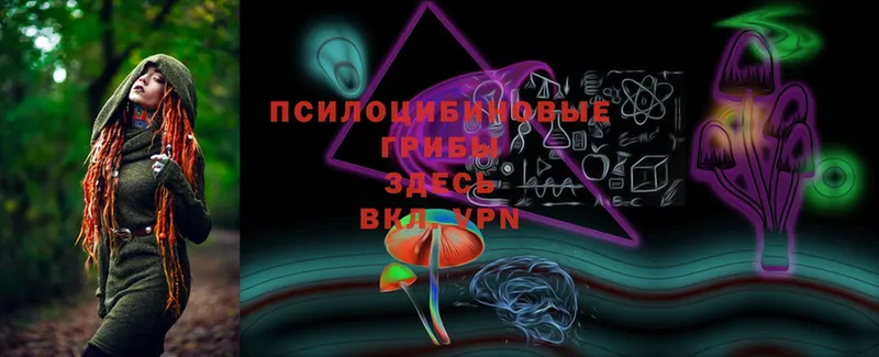 omg зеркало  Курганинск  Псилоцибиновые грибы MAGIC MUSHROOMS 